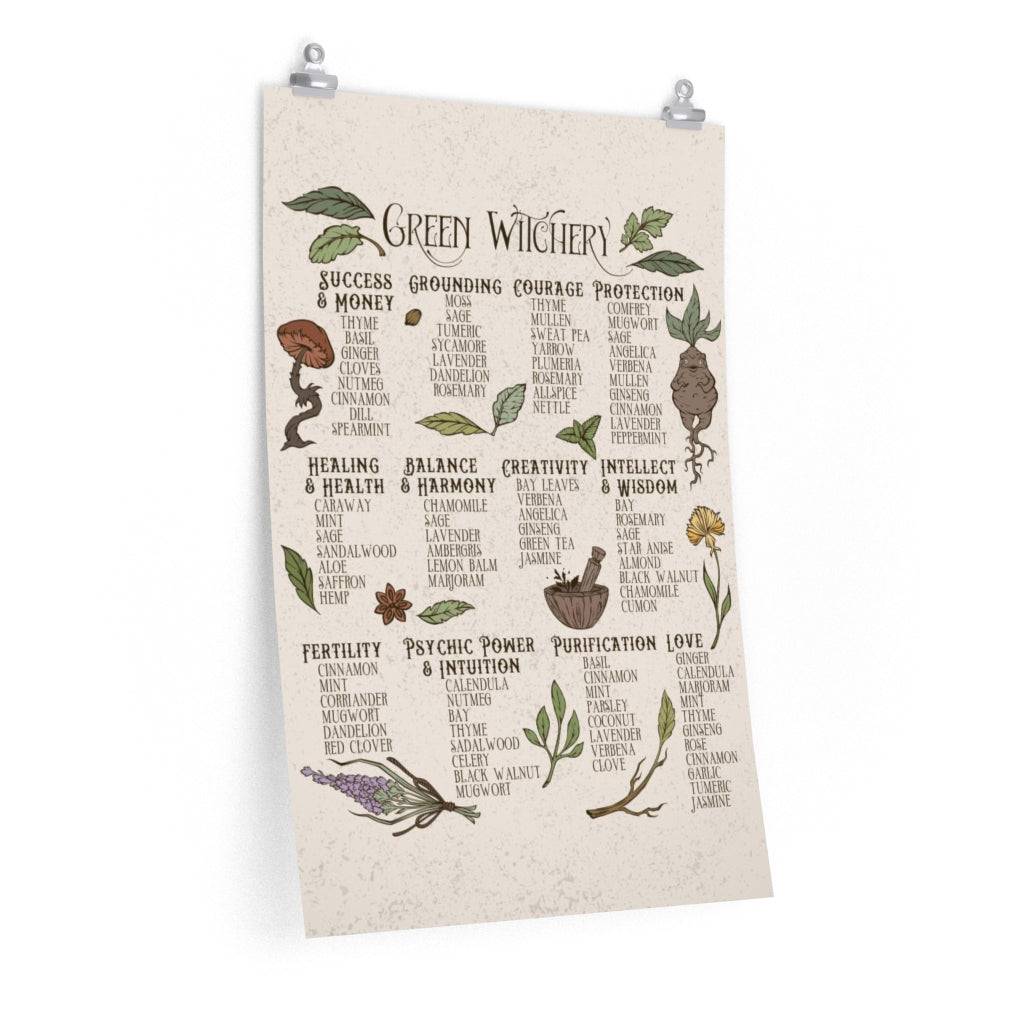 Natural Green Witchery Aesthetic Green Witch herbs and plants vertical poster art print. Available in 2 colors. Esdee Designs